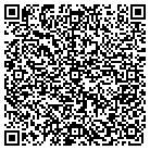 QR code with Spring Cleaning By Velm LLC contacts