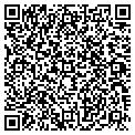 QR code with P Daniel Amos contacts