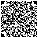 QR code with Constantinescu contacts