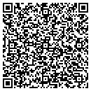 QR code with Pristine Cleaning contacts