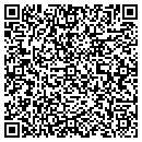 QR code with Public Allies contacts