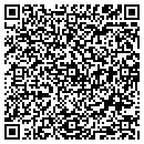 QR code with Professional Nails contacts