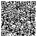 QR code with Dsm LLC contacts
