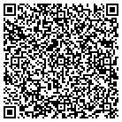 QR code with Blue Haven Pools & Spas contacts