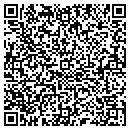 QR code with Pynes Shawn contacts