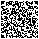 QR code with Premium Builders Inc contacts