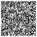 QR code with Chameleon Sales Inc contacts