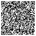 QR code with Lowes contacts