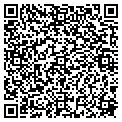 QR code with Dodig contacts