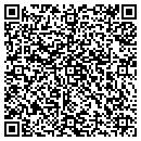 QR code with Carter Jeffrey E MD contacts