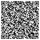 QR code with Brian Stiver Enterprises contacts