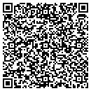QR code with Crystal Clear Solutions contacts
