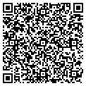 QR code with pavers contacts