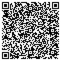 QR code with Wilkins contacts