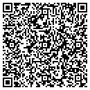 QR code with Co Biz Insurance Inc contacts