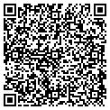 QR code with IBEW contacts