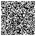 QR code with Knecht contacts