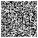 QR code with Pure Env Planning LLC contacts