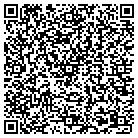 QR code with Professional Pbe Systems contacts