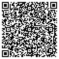 QR code with Vite LLC contacts