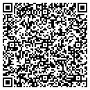 QR code with Pt Cleaners Inc contacts