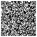 QR code with Cleman Michael W MD contacts