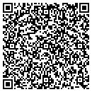 QR code with Public Storage contacts