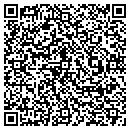 QR code with Caryn A Heffelfinger contacts