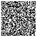 QR code with C Perry contacts