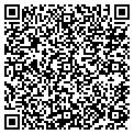 QR code with N Ghaly contacts