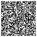 QR code with Precision Wireforms contacts
