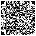 QR code with Xylex contacts