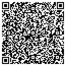 QR code with Project Art contacts