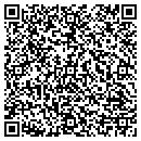 QR code with Cerullo Michael J MD contacts