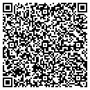 QR code with Public Library Systems contacts