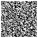 QR code with Puente Verde contacts