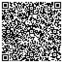 QR code with Pristine Clean contacts