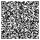 QR code with Pryluck David S MD contacts