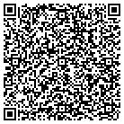 QR code with Blitz Lighting Com Inc contacts