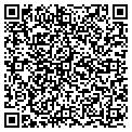 QR code with M Niaz contacts