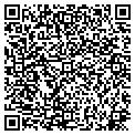 QR code with Pines contacts