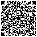 QR code with Pulak Ray MD contacts