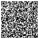 QR code with Project Able Inc contacts