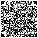 QR code with Pyramid Planning contacts