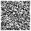 QR code with Public Works contacts