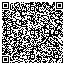 QR code with Pyke Construction Inc contacts