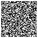 QR code with Pyramid Contstruction contacts
