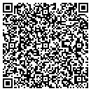 QR code with Premier Video contacts