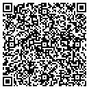QR code with Cogents Systems Inc contacts