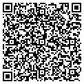 QR code with Dattel contacts